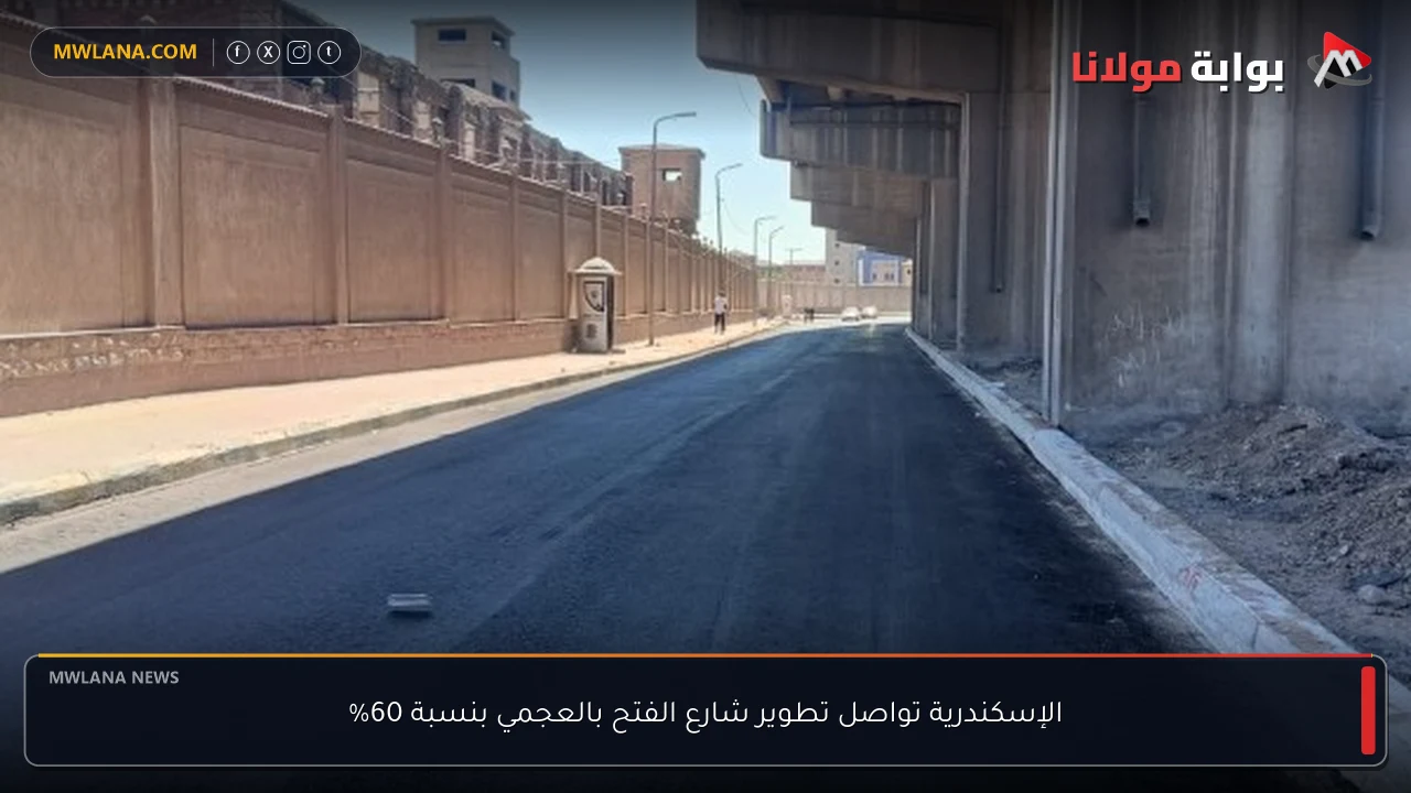 الإسكندرية تواصل تطوير شارع الفتح بالعجمي بنسبة 60%