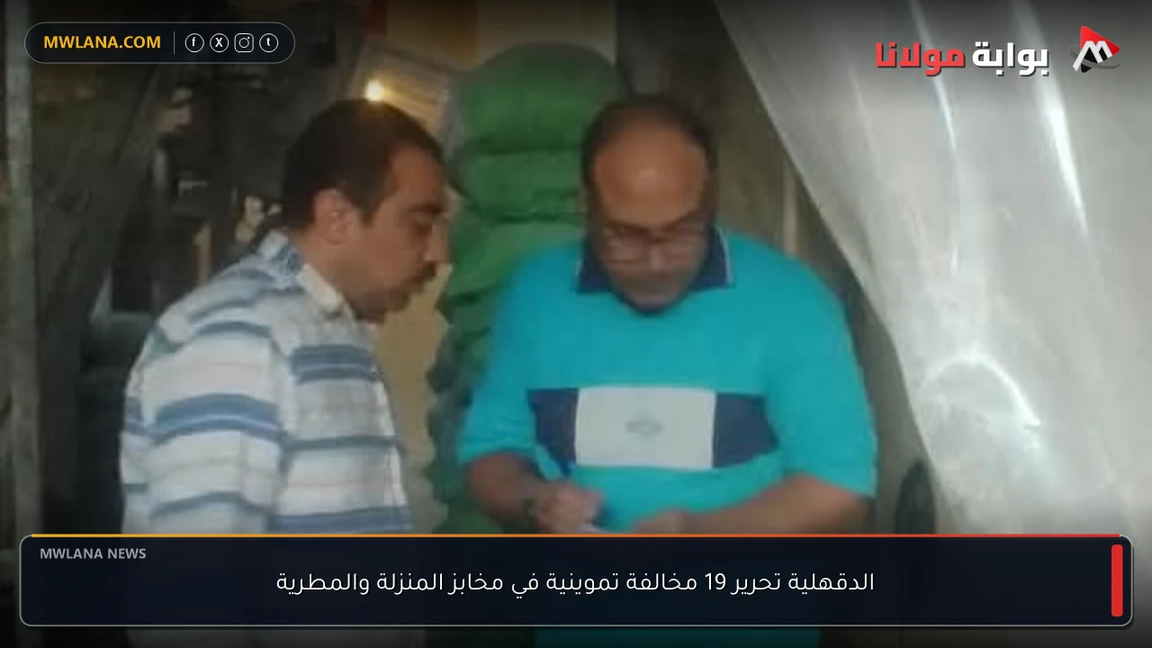الدقهلية تحرير 19 مخالفة تموينية في مخابز المنزلة والمطرية