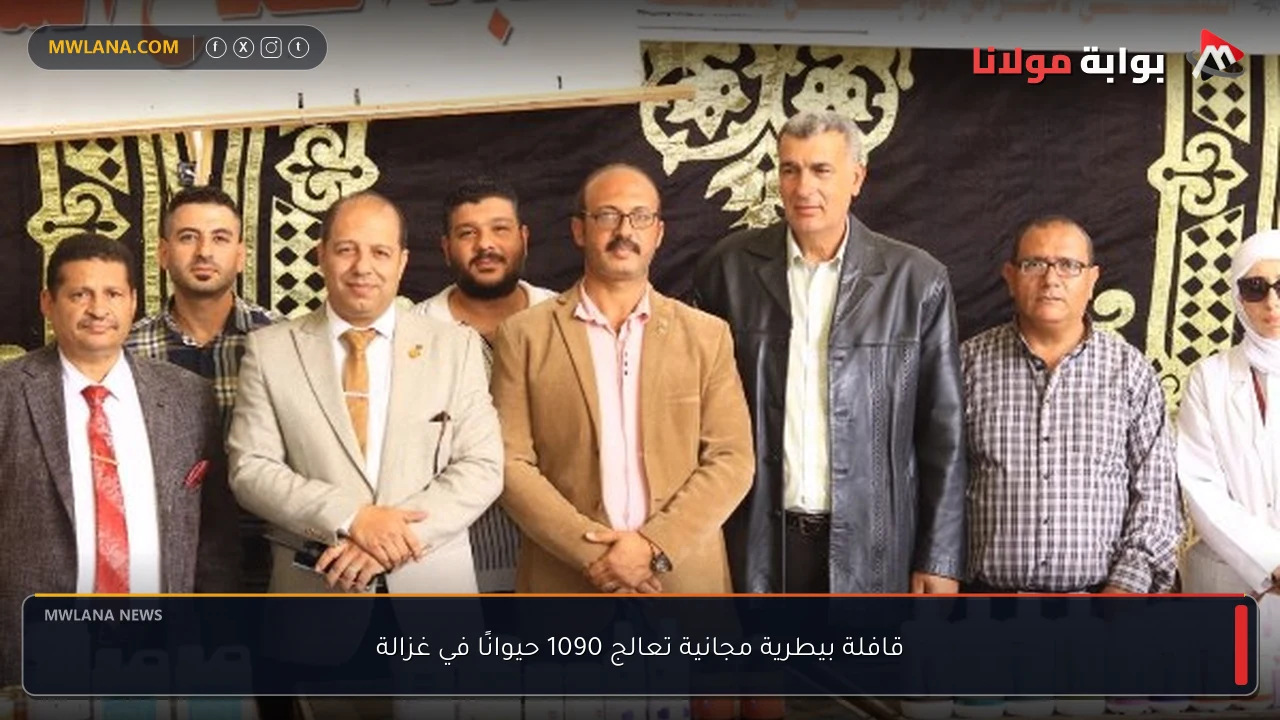 قافلة بيطرية مجانية تعالج 1090 حيوانًا في غزالة