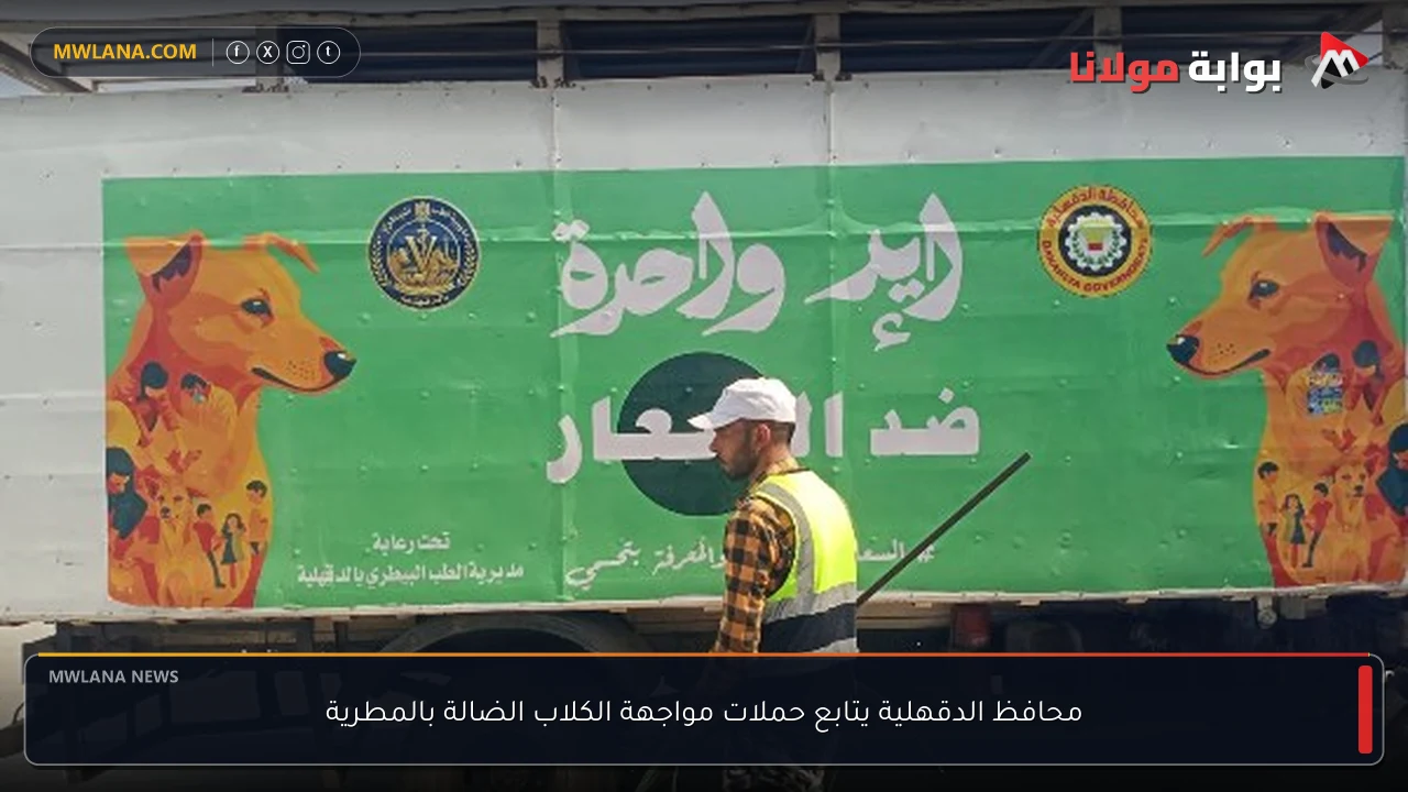 محافظ الدقهلية يتابع حملات مواجهة الكلاب الضالة بالمطرية