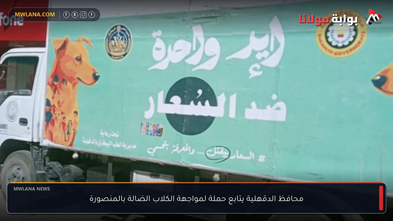 محافظ الدقهلية يتابع حملة لمواجهة الكلاب الضالة بالمنصورة