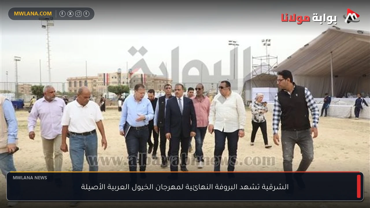الشرقية تشهد البروفة النهائية لمهرجان الخيول العربية الأصيلة