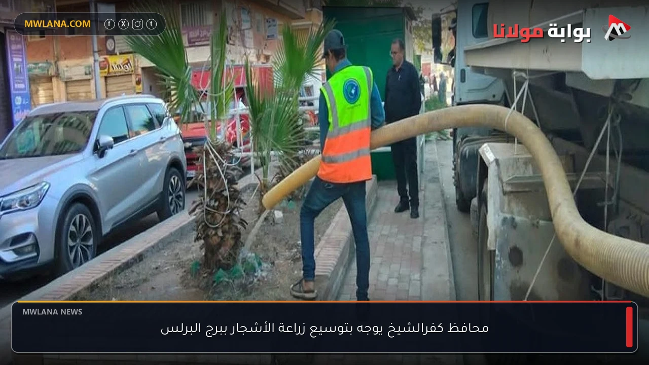 محافظ كفرالشيخ يوجه بتوسيع زراعة الأشجار ببرج البرلس