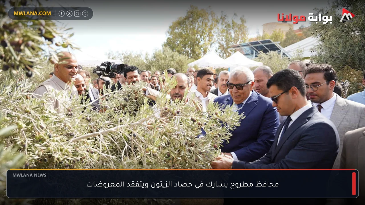 محافظ مطروح يشارك في حصاد الزيتون ويتفقد المعروضات