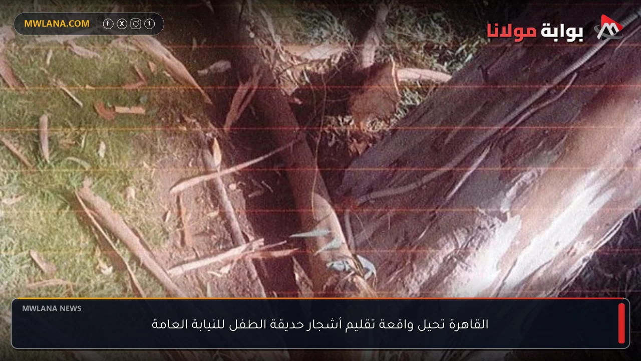 القاهرة تحيل واقعة تقليم أشجار حديقة الطفل للنيابة العامة