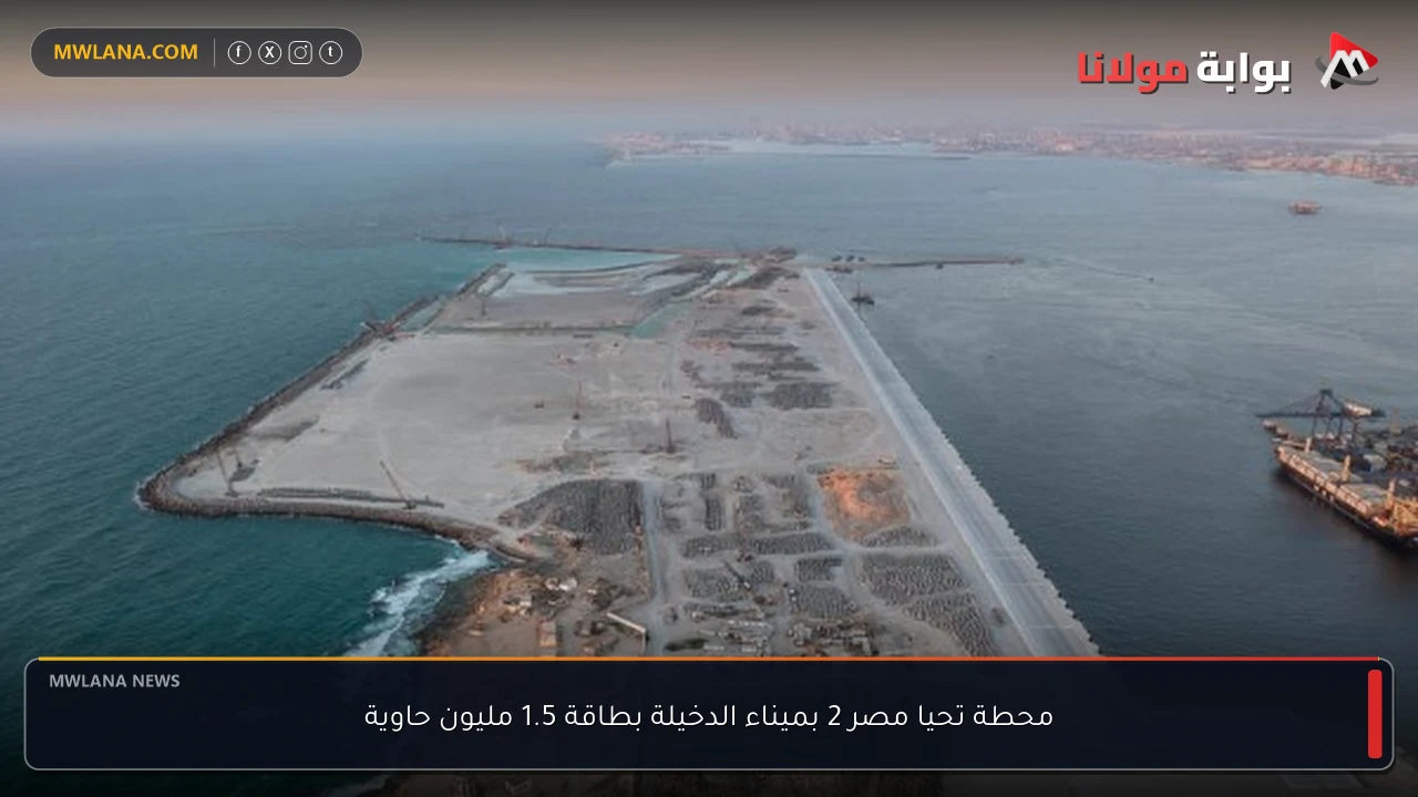 محطة تحيا مصر 2 بميناء الدخيلة بطاقة 1.5 مليون حاوية