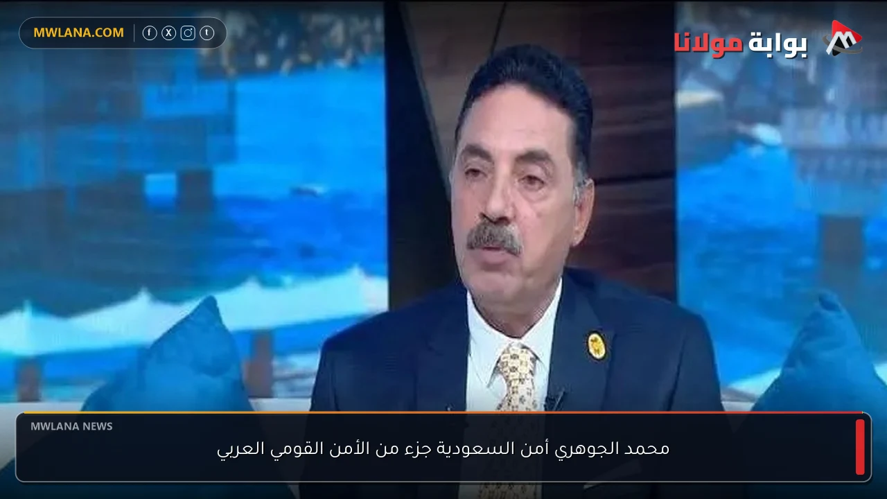 محمد الجوهري أمن السعودية جزء من الأمن القومي العربي