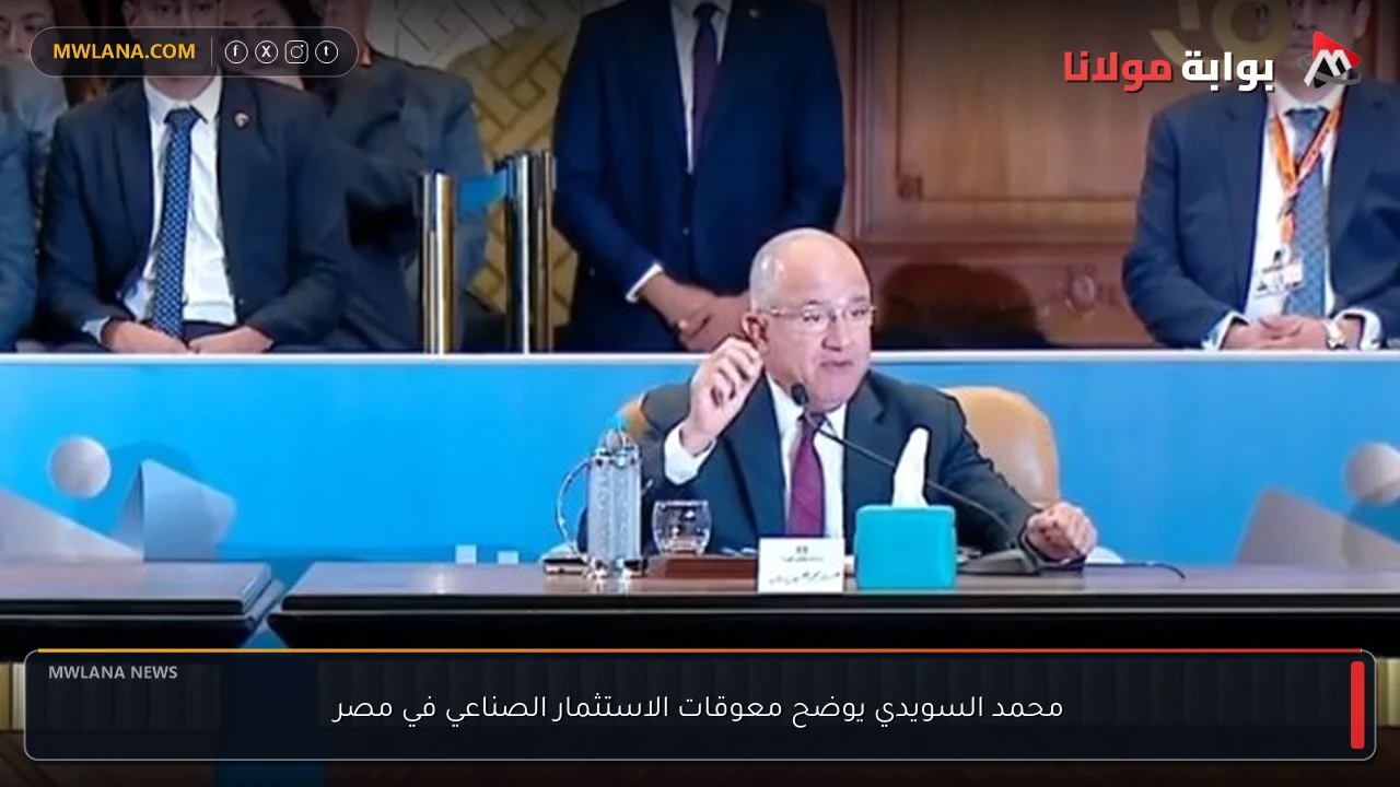 محمد السويدي يوضح معوقات الاستثمار الصناعي في مصر