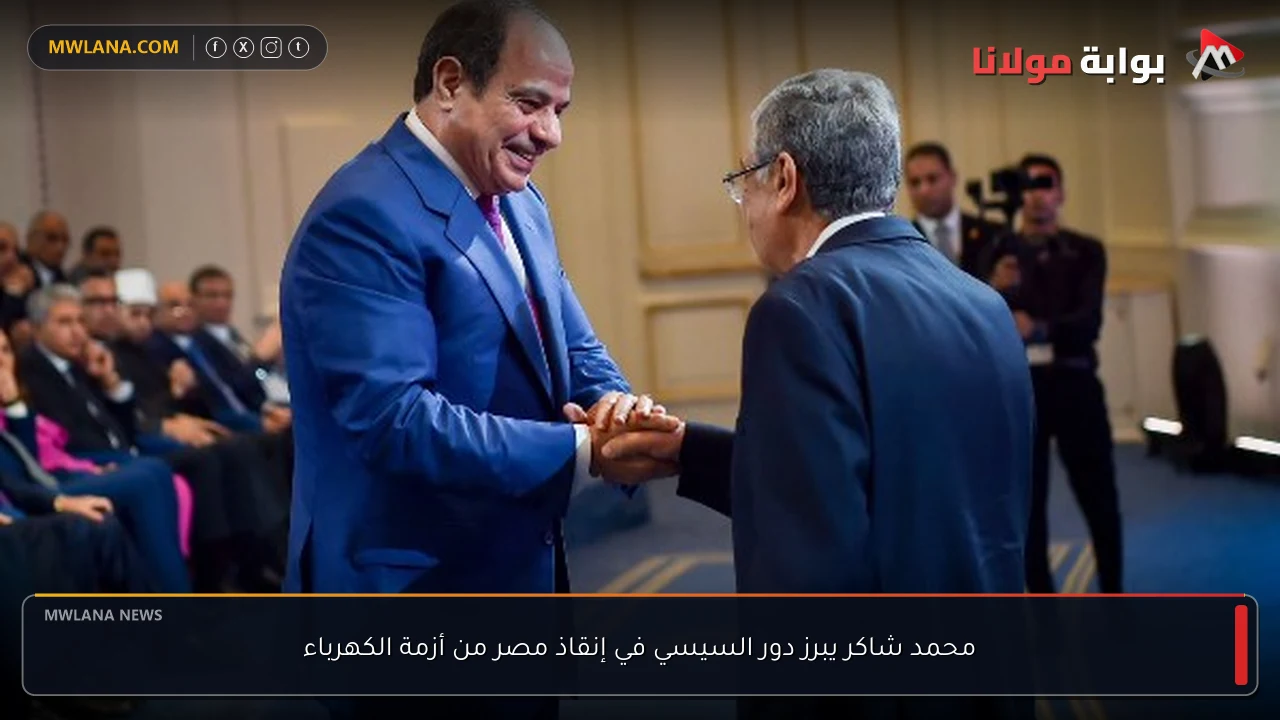 محمد شاكر يبرز دور السيسي في إنقاذ مصر من أزمة الكهرباء