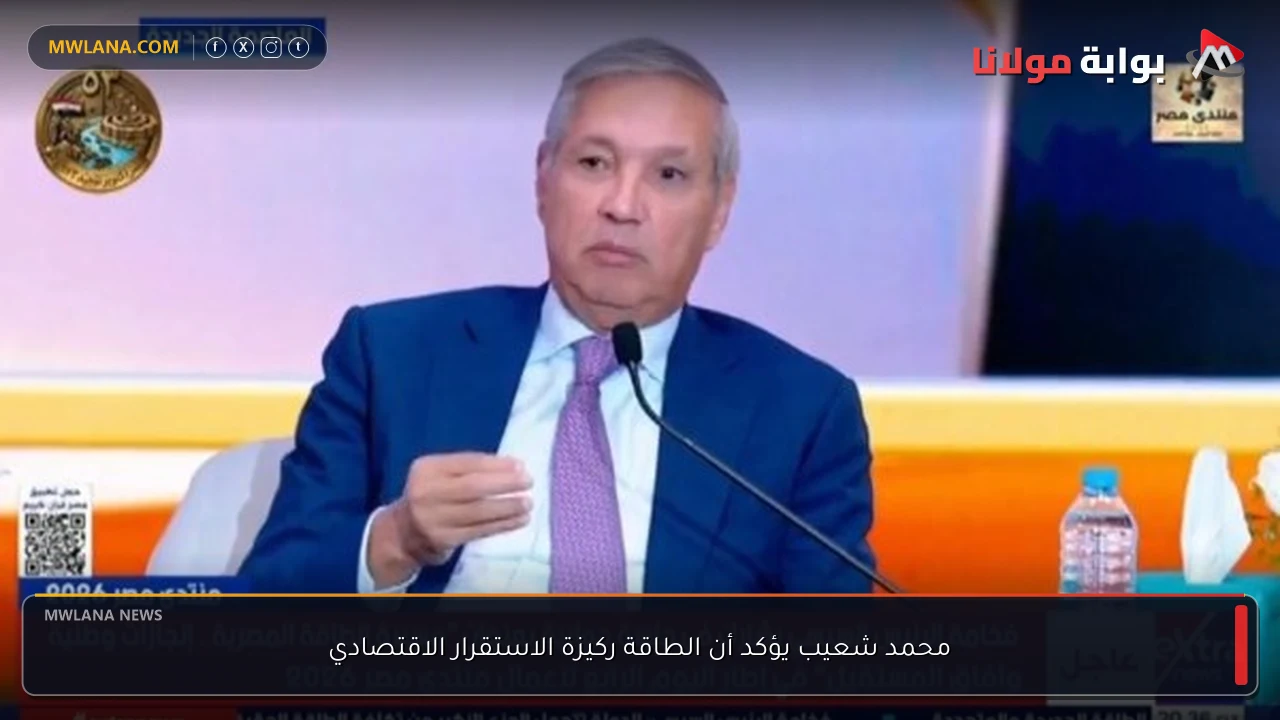 محمد شعيب يؤكد أن الطاقة ركيزة الاستقرار الاقتصادي