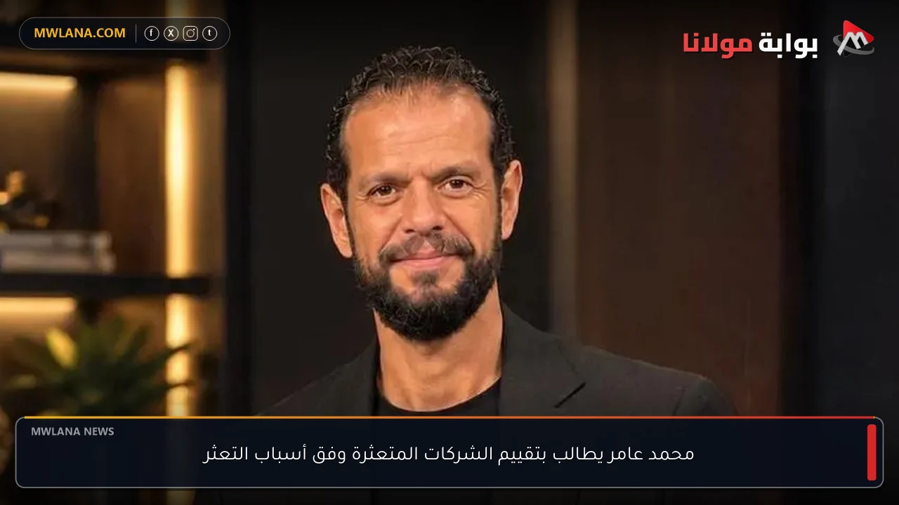 محمد عامر يطالب بتقييم الشركات المتعثرة وفق أسباب التعثر