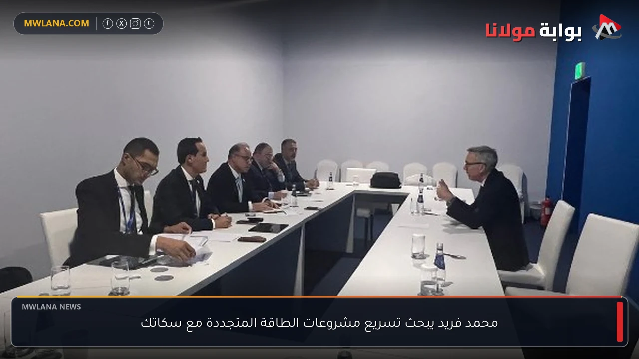 محمد فريد يبحث تسريع مشروعات الطاقة المتجددة مع سكاتك
