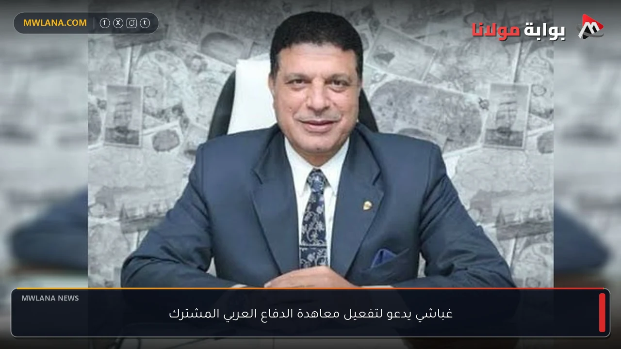 غباشي يدعو لتفعيل معاهدة الدفاع العربي المشترك
