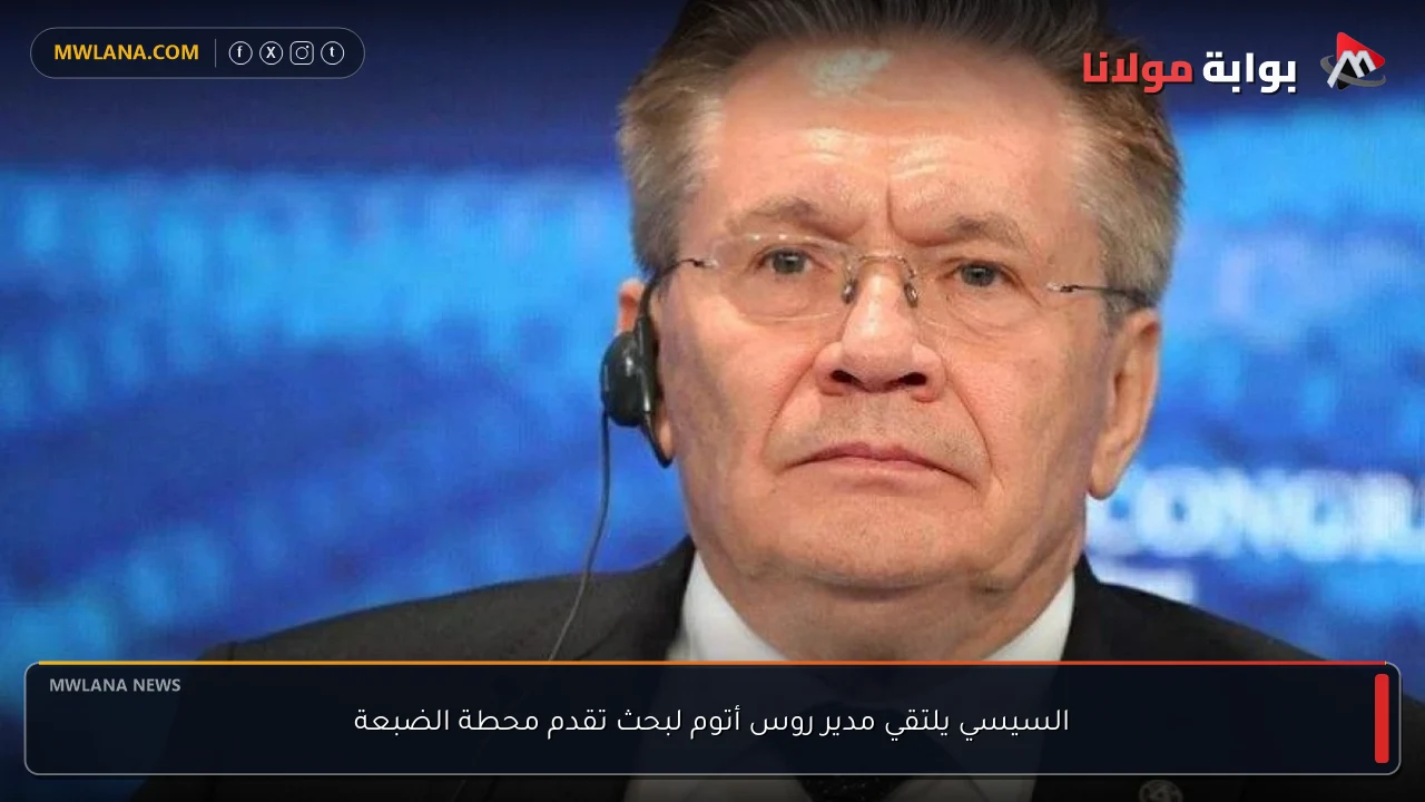 السيسي يلتقي مدير روس أتوم لبحث تقدم محطة الضبعة
