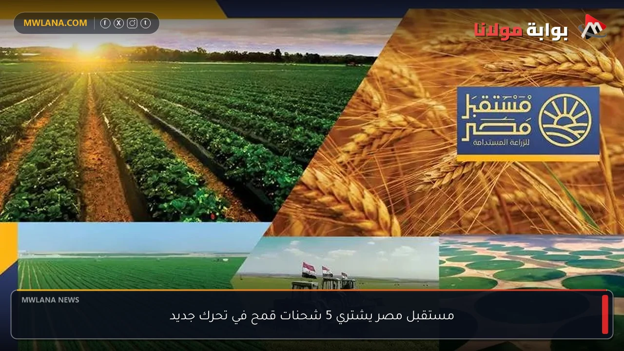 مستقبل مصر يشتري 5 شحنات قمح في تحرك جديد