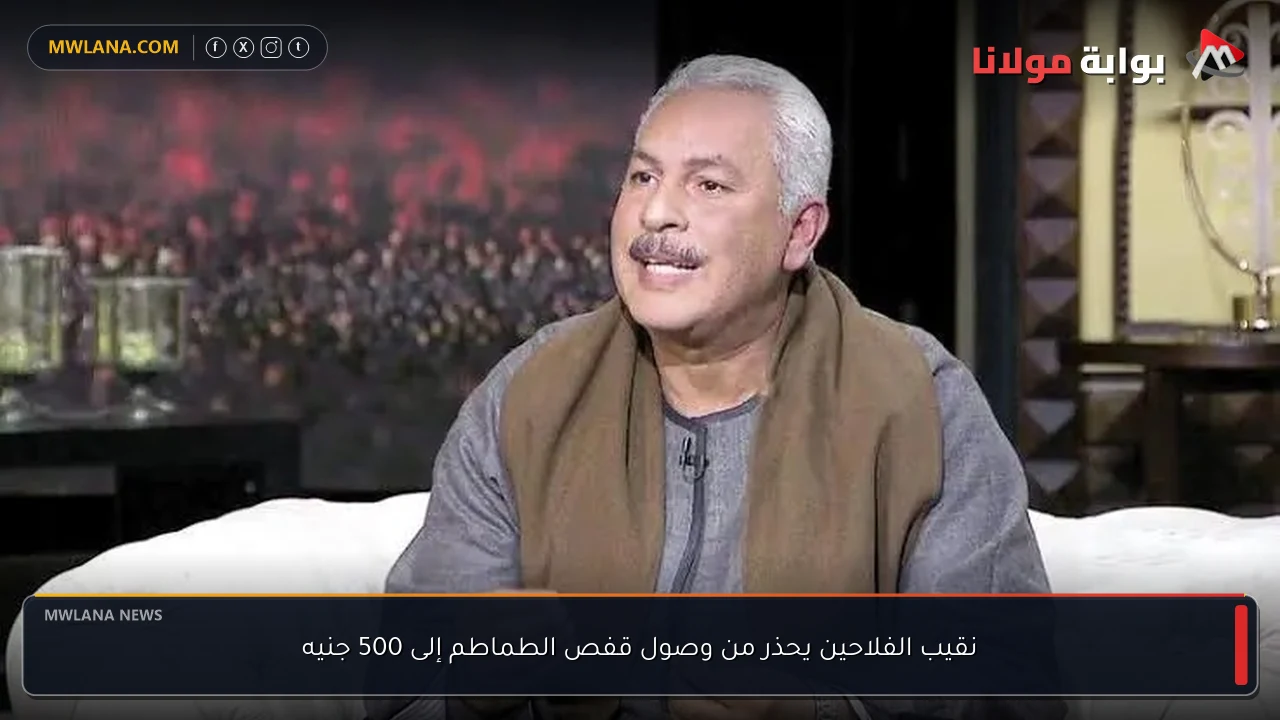نقيب الفلاحين يحذر من وصول قفص الطماطم إلى 500 جنيه