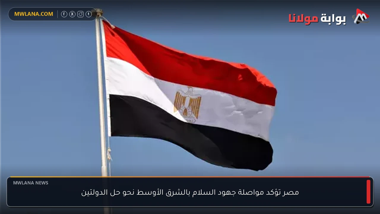 مصر تؤكد مواصلة جهود السلام بالشرق الأوسط نحو حل الدولتين