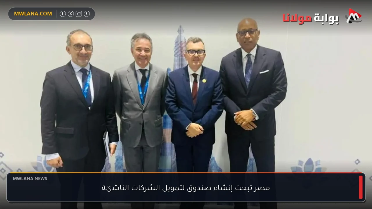 مصر تبحث إنشاء صندوق لتمويل الشركات الناشئة