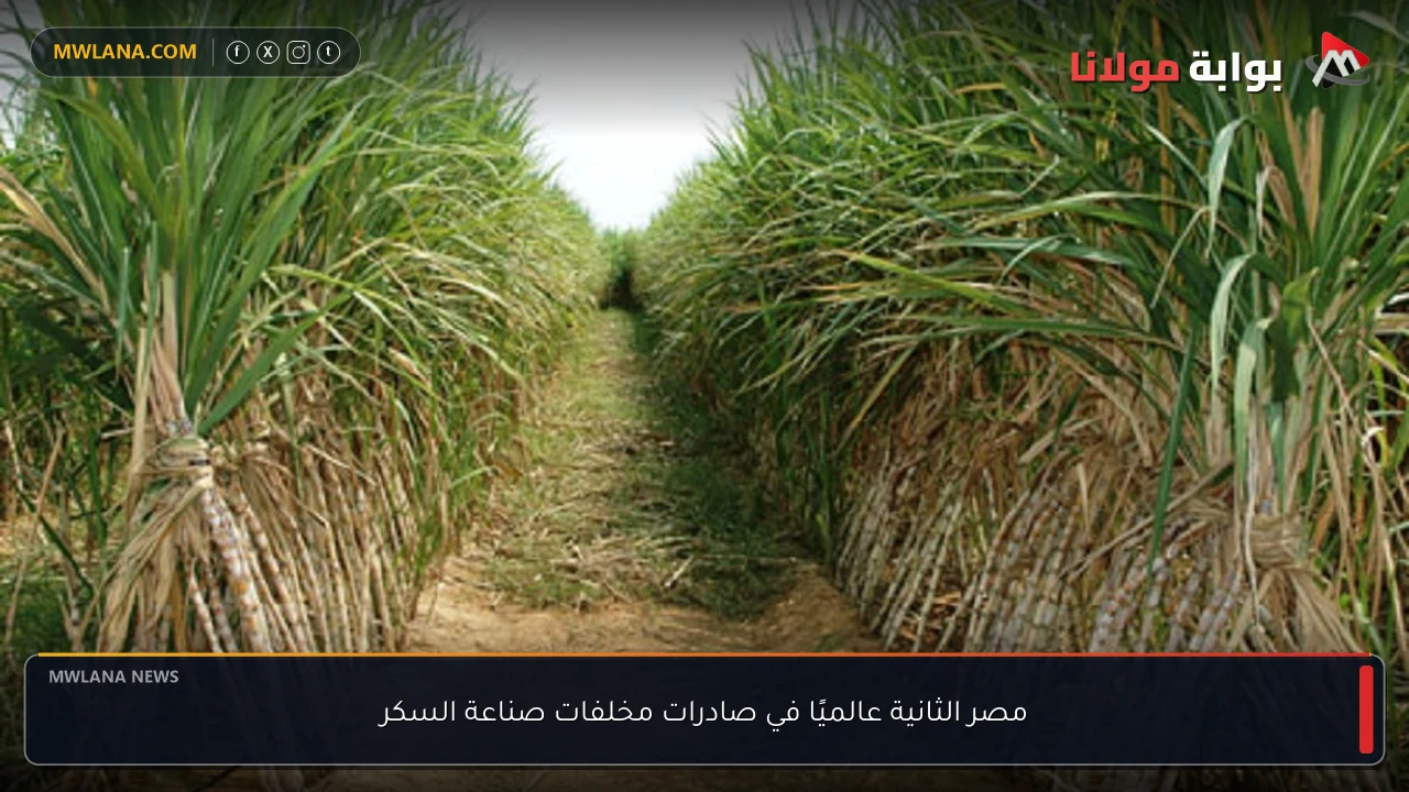 مصر الثانية عالميًا في صادرات مخلفات صناعة السكر