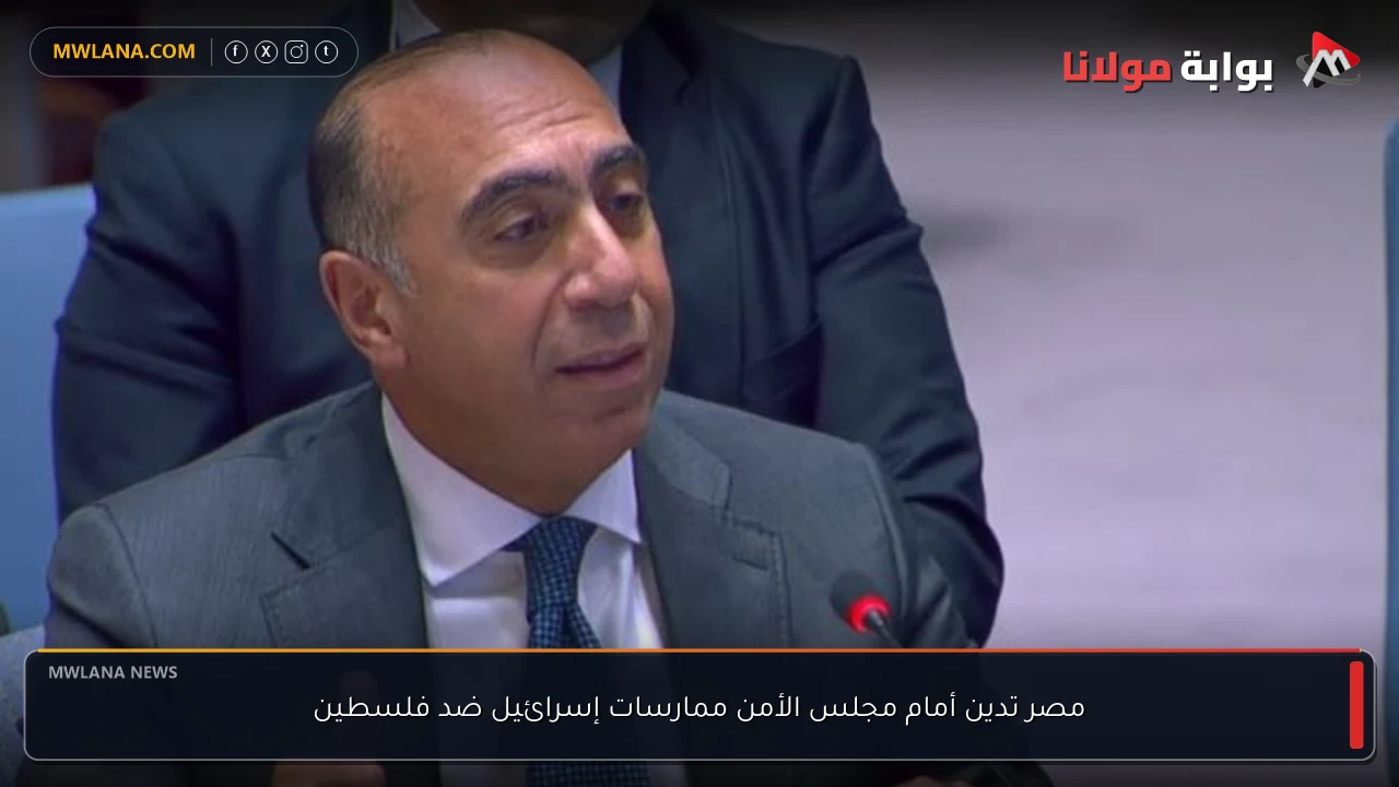 مصر تدين أمام مجلس الأمن ممارسات إسرائيل ضد فلسطين