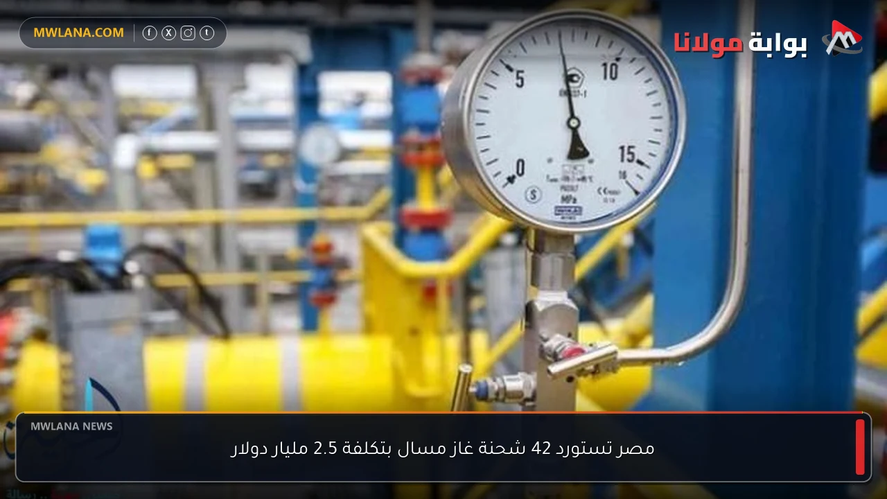 مصر تستورد 42 شحنة غاز مسال بتكلفة 2.5 مليار دولار