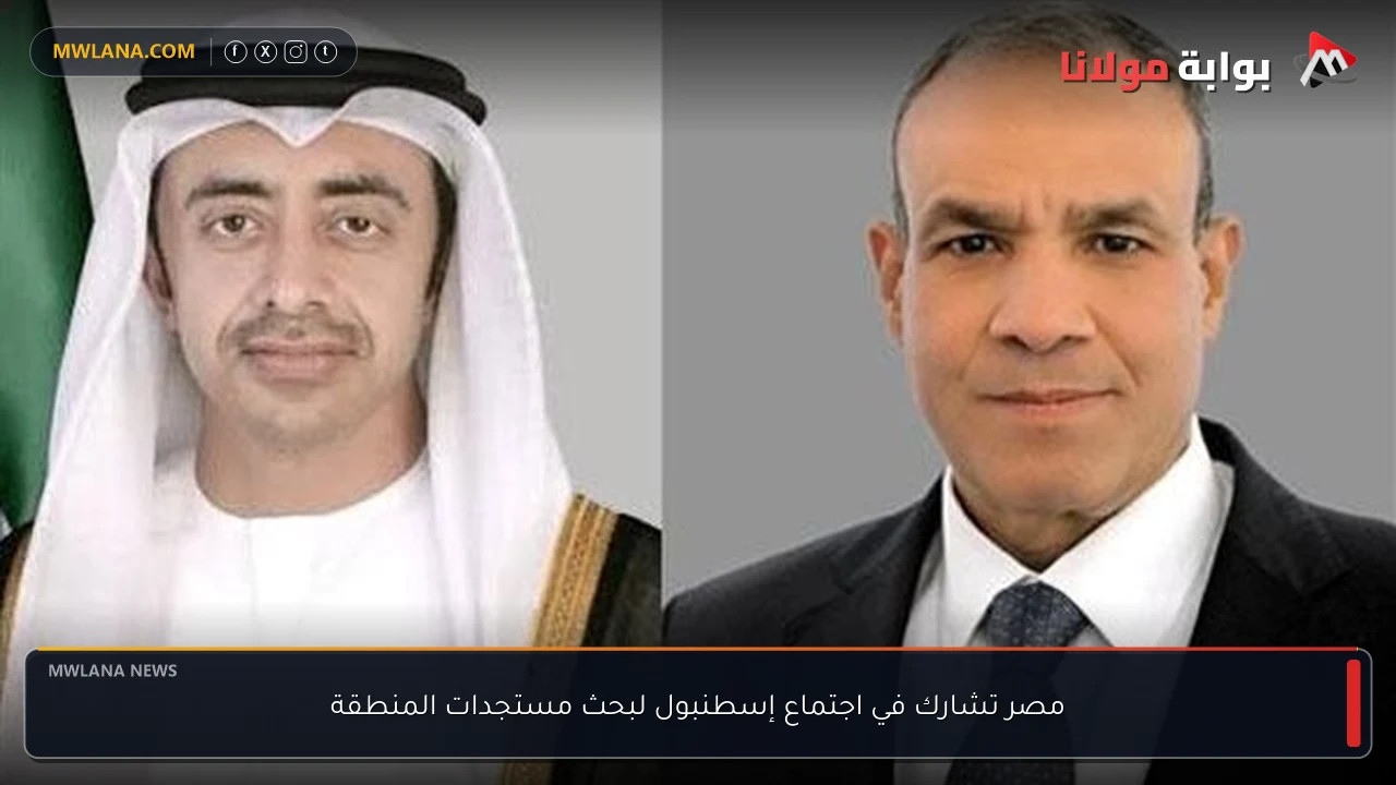 مصر تشارك في اجتماع إسطنبول لبحث مستجدات المنطقة