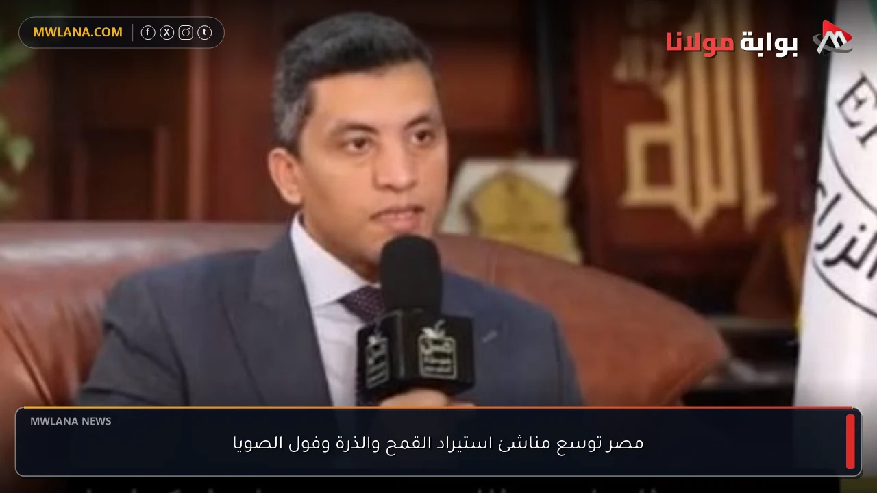 مصر توسع مناشئ استيراد القمح والذرة وفول الصويا