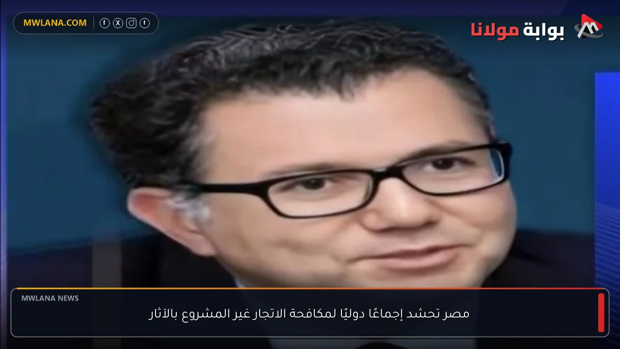 مصر تحشد إجماعًا دوليًا لمكافحة الاتجار غير المشروع بالآثار
