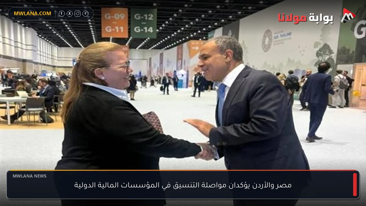 مصر والأردن يؤكدان مواصلة التنسيق في المؤسسات المالية الدولية