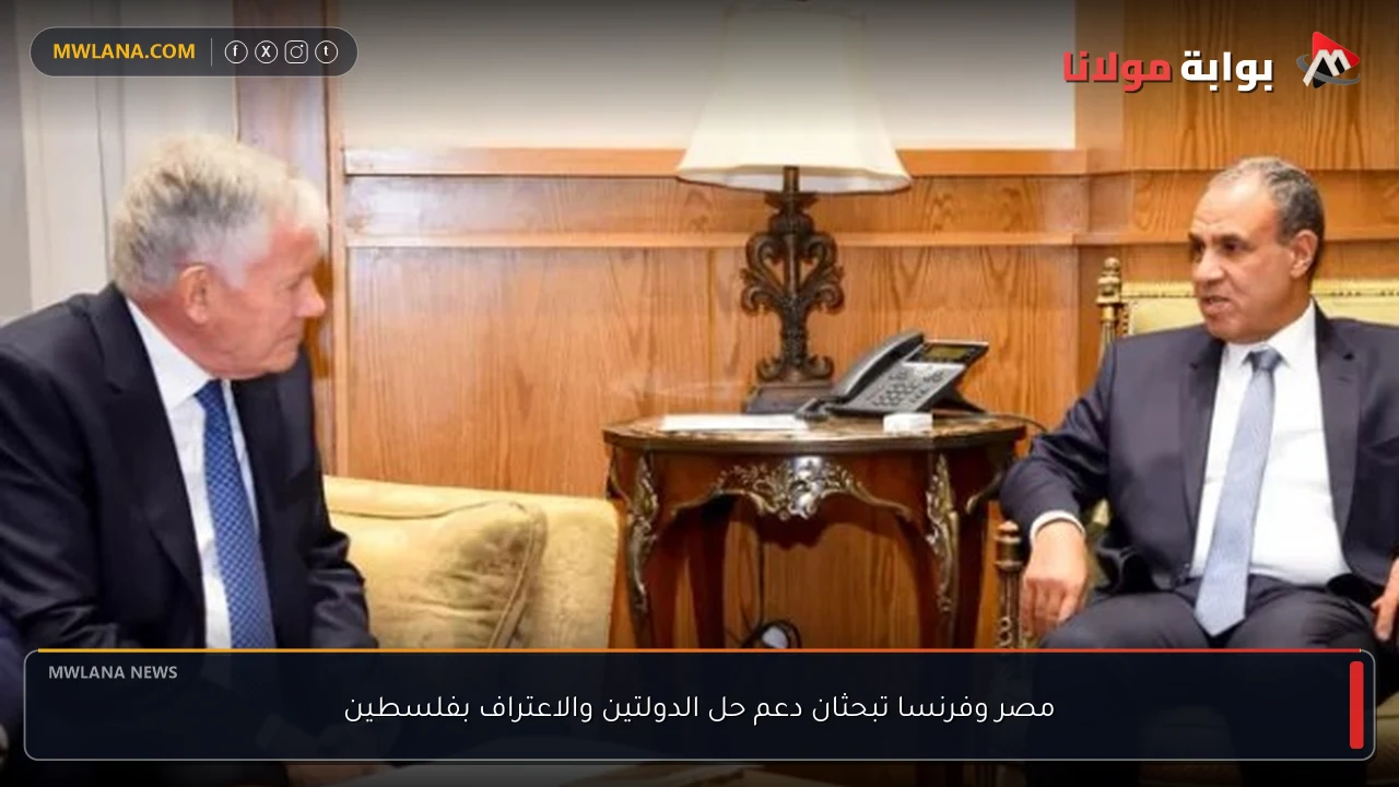 مصر وفرنسا تبحثان دعم حل الدولتين والاعتراف بفلسطين