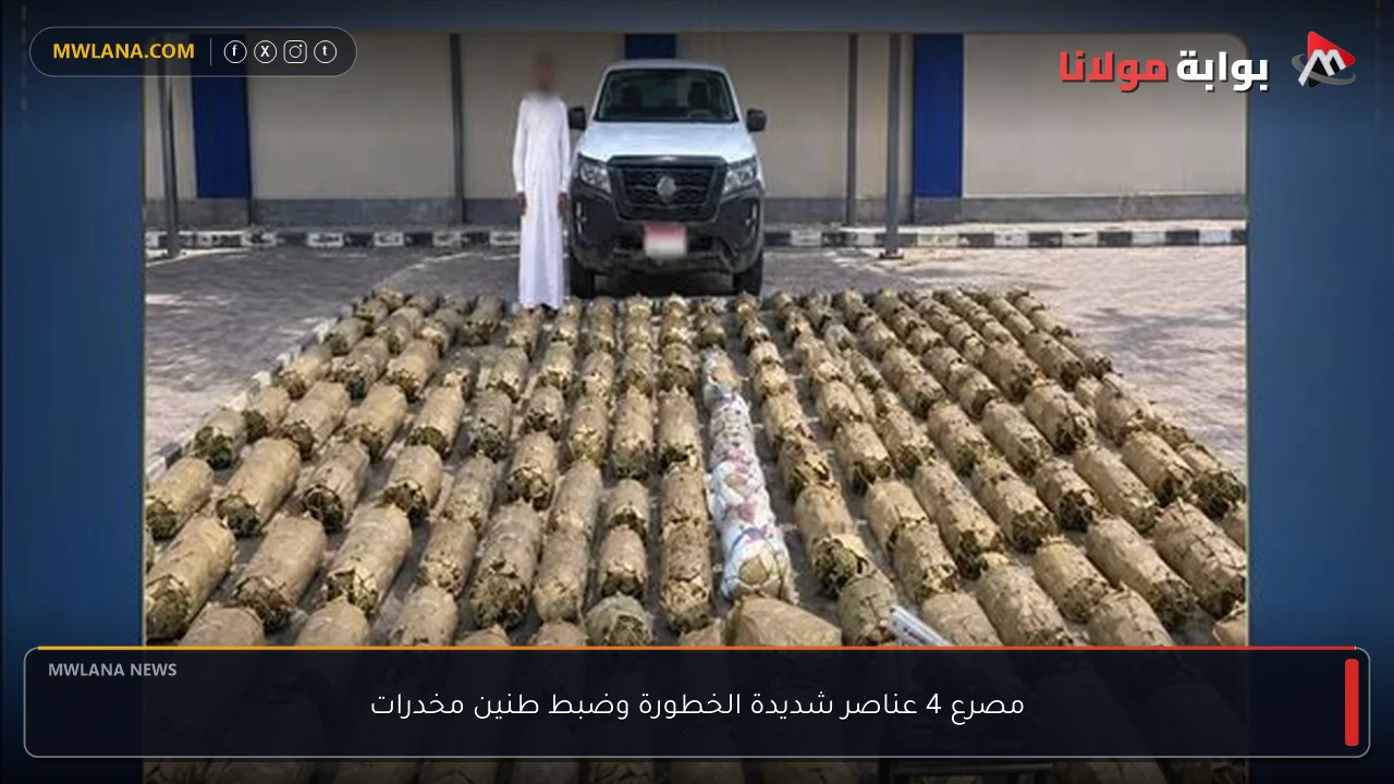 مصرع 4 عناصر شديدة الخطورة وضبط طنين مخدرات