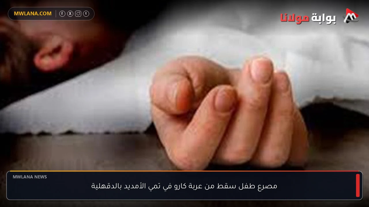 مصرع طفل سقط من عربة كارو في تمي الأمديد بالدقهلية