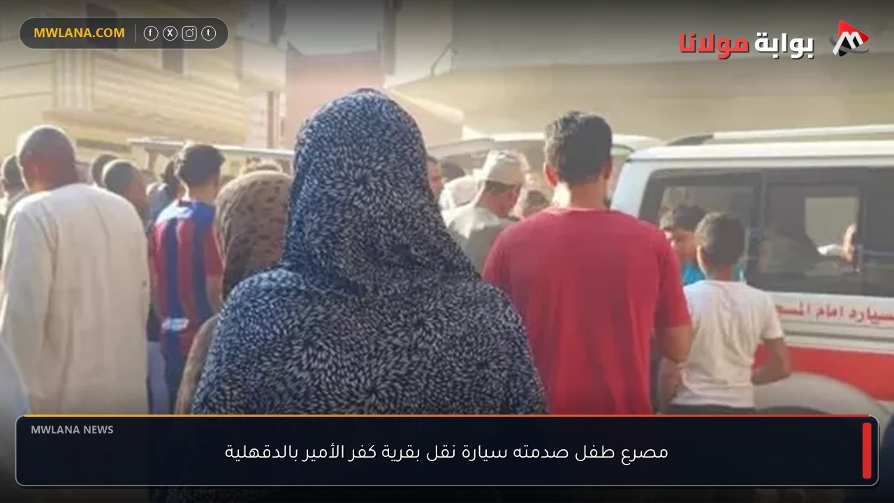 مصرع طفل صدمته سيارة نقل بقرية كفر الأمير بالدقهلية