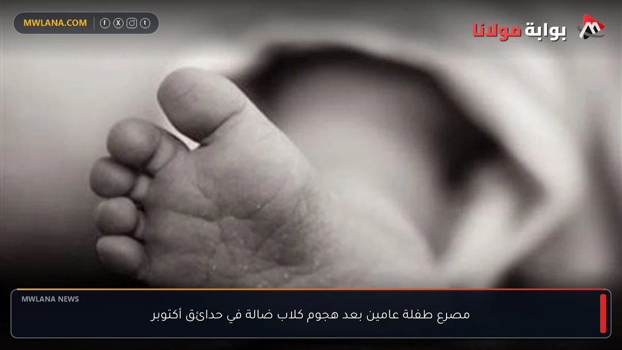 مصرع طفلة عامين بعد هجوم كلاب ضالة في حدائق أكتوبر