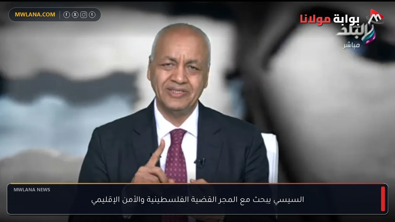 السيسي يبحث مع المجر القضية الفلسطينية والأمن الإقليمي