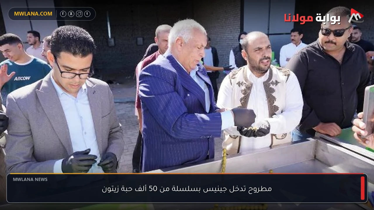 مطروح تدخل جينيس بسلسلة من 50 ألف حبة زيتون