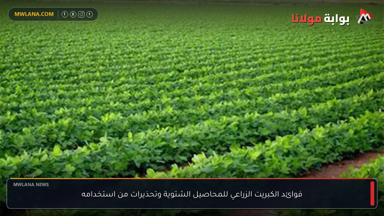 فوائد الكبريت الزراعي للمحاصيل الشتوية وتحذيرات من استخدامه