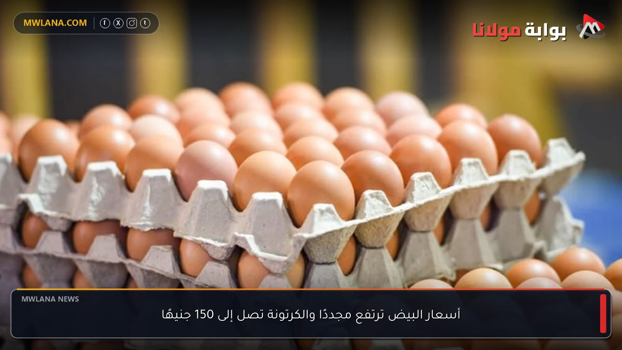 أسعار البيض ترتفع مجددًا والكرتونة تصل إلى 150 جنيهًا