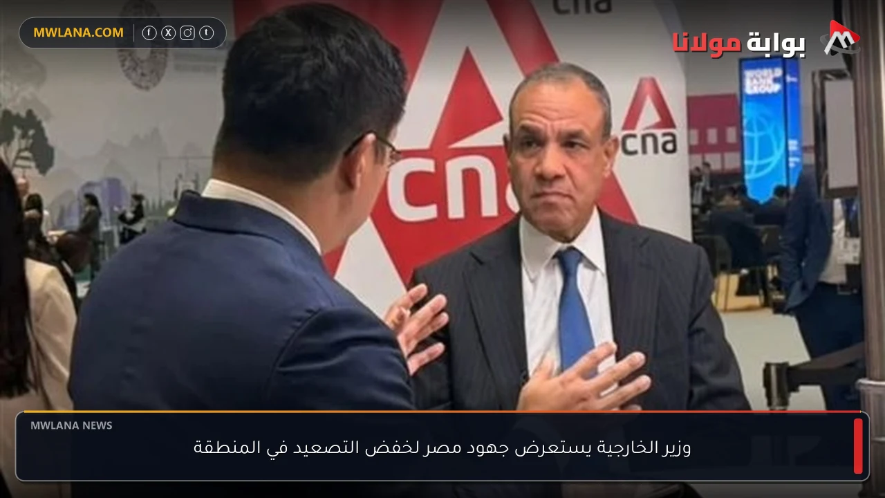وزير الخارجية يستعرض جهود مصر لخفض التصعيد في المنطقة