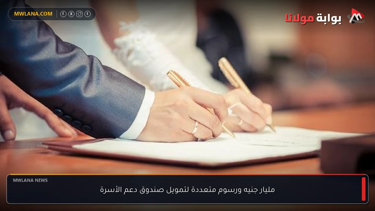 مليار جنيه ورسوم متعددة لتمويل صندوق دعم الأسرة