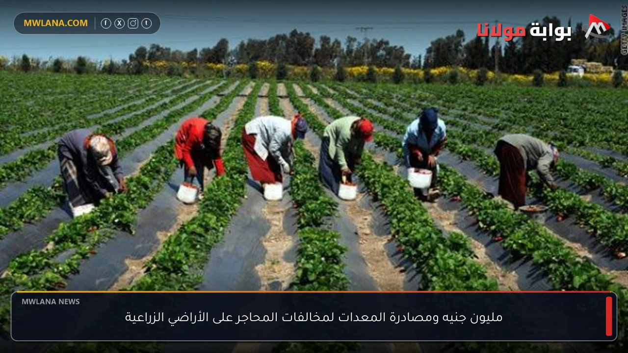 مليون جنيه ومصادرة المعدات لمخالفات المحاجر على الأراضي الزراعية