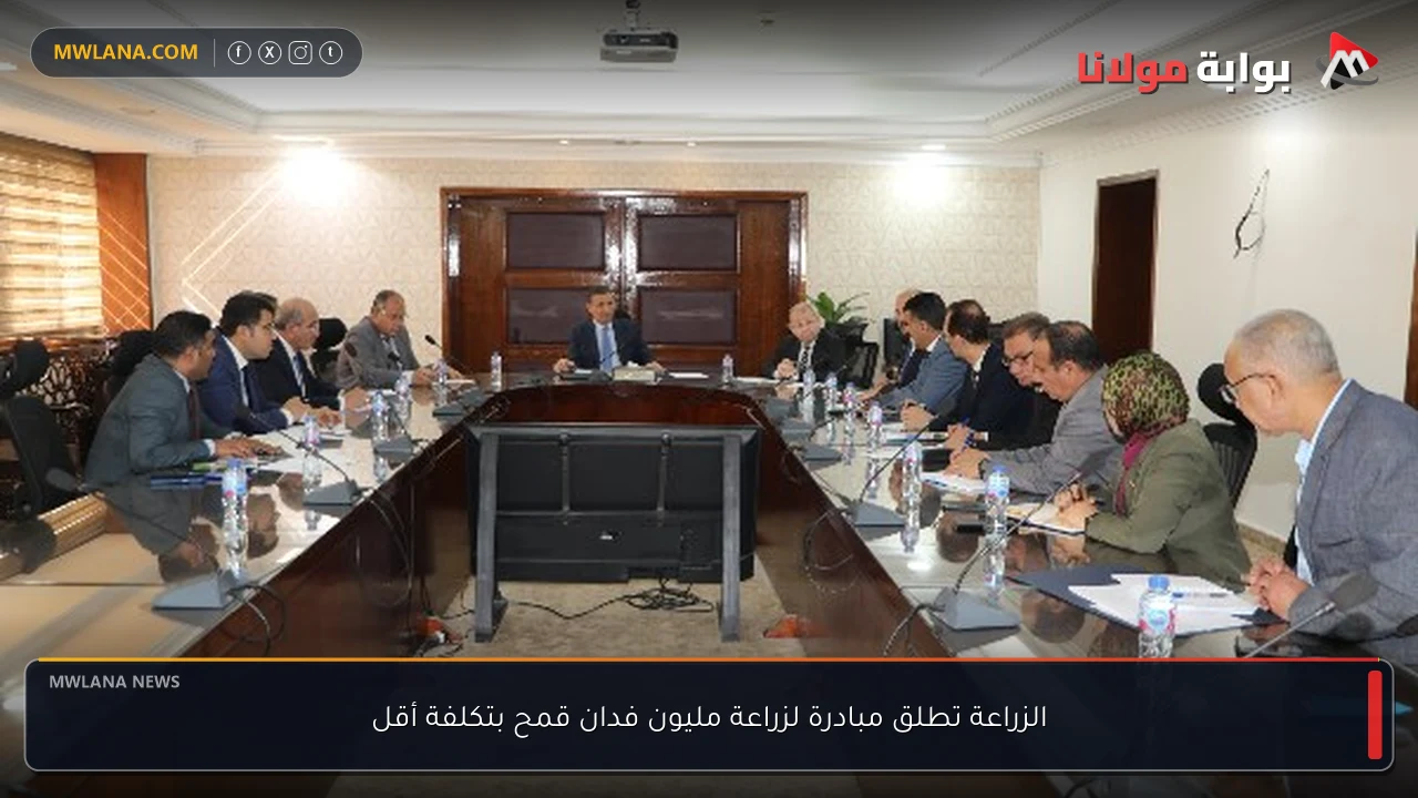 الزراعة تطلق مبادرة لزراعة مليون فدان قمح بتكلفة أقل