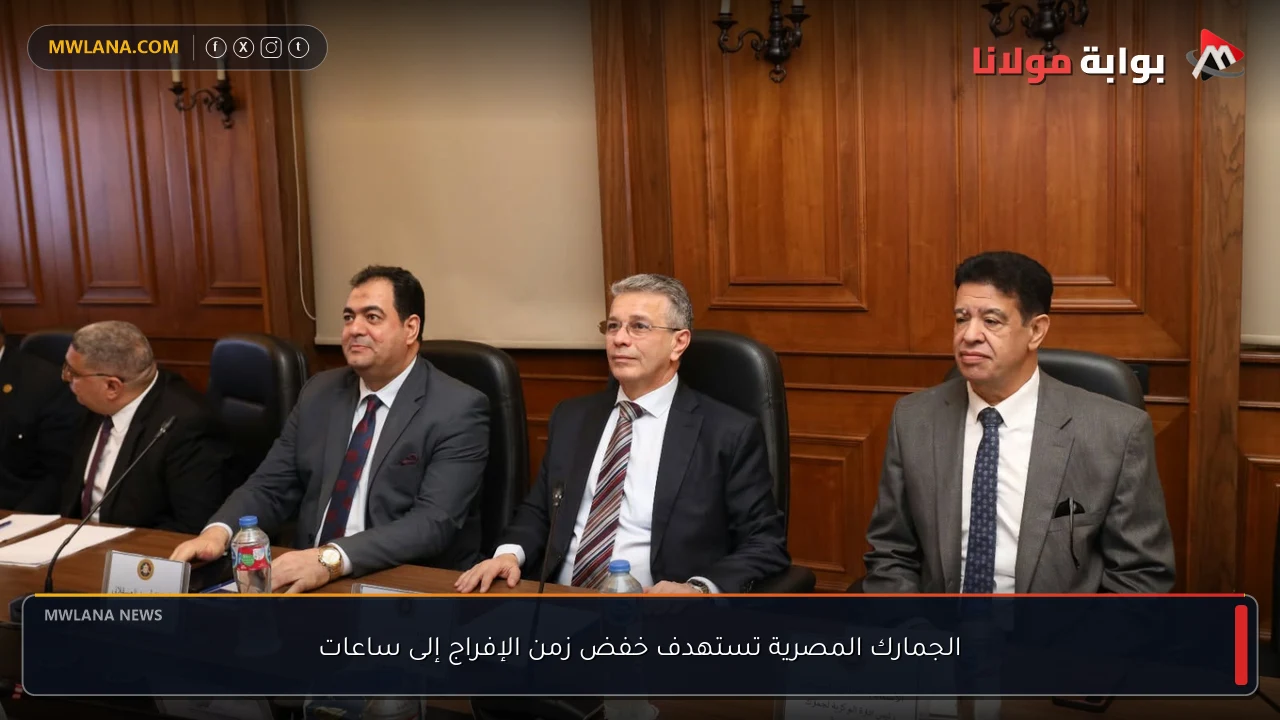 الجمارك المصرية تستهدف خفض زمن الإفراج إلى ساعات