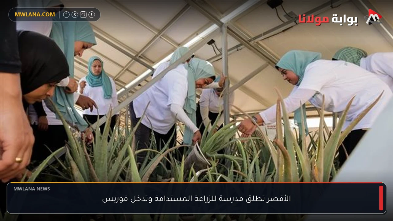الأقصر تطلق مدرسة للزراعة المستدامة وتدخل فوربس