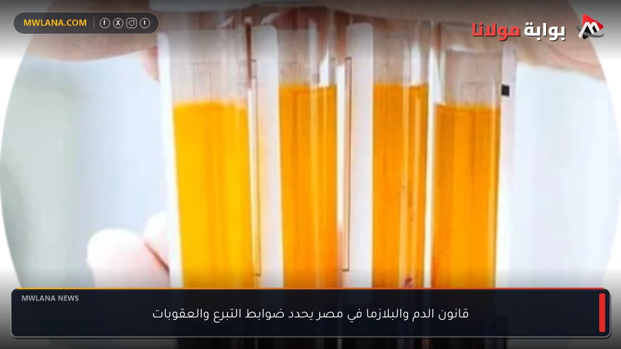 قانون الدم والبلازما في مصر يحدد ضوابط التبرع والعقوبات