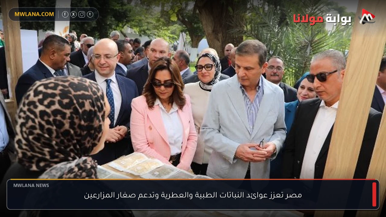 مصر تعزز عوائد النباتات الطبية والعطرية وتدعم صغار المزارعين