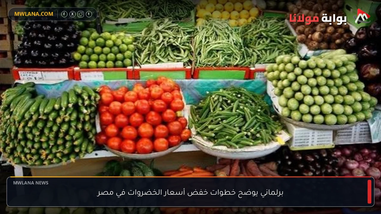 برلماني يوضح خطوات خفض أسعار الخضروات في مصر