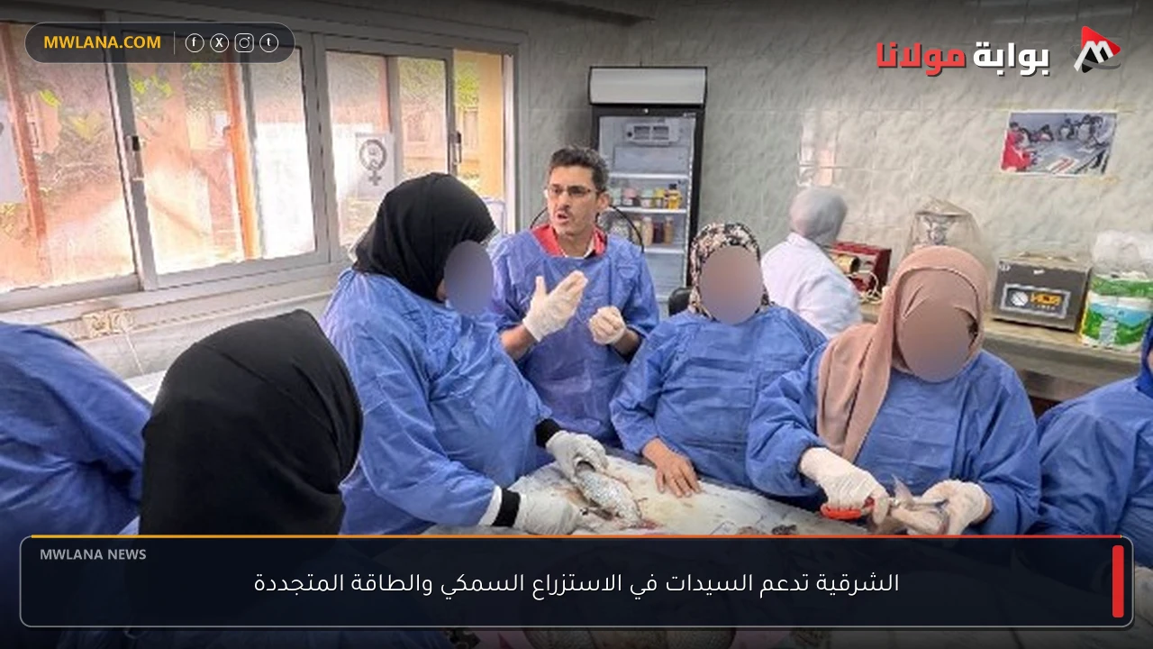 الشرقية تدعم السيدات في الاستزراع السمكي والطاقة المتجددة