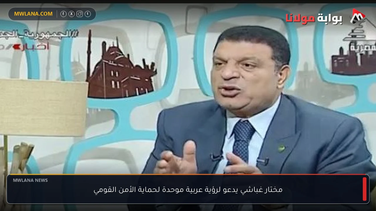 مختار غباشي يدعو لرؤية عربية موحدة لحماية الأمن القومي