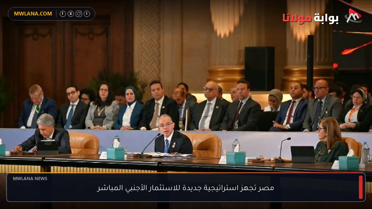 مصر تجهز استراتيجية جديدة للاستثمار الأجنبي المباشر